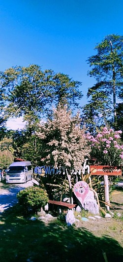 จันทบุรี สวนทุเรียผู้การอุ๋ย 🙏ที่เรียกใช้บริการครับ